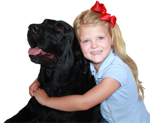 About Town & Country Veterinary Care and reviews