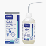 Dental Care and Procedures