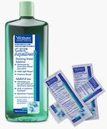 Dental Care and Procedures